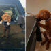 30 Hilariously Irresistible Dog Moments That Will Instantly Brighten Your Day 71 Hilarious Dog Photos Brighten Your Day