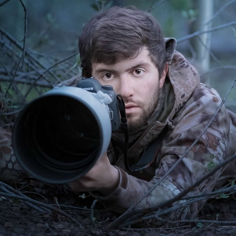 Dreamlike Wildlife Photography by Lewis Frazier