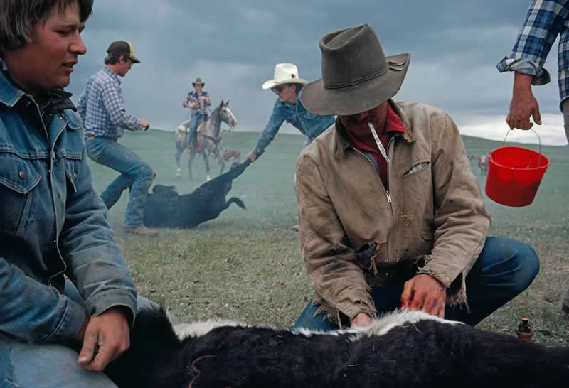 Ken Rosman Ranch in Utica, Montana by Sam Abell - Most Iconic Photos From the National Geographic Archives