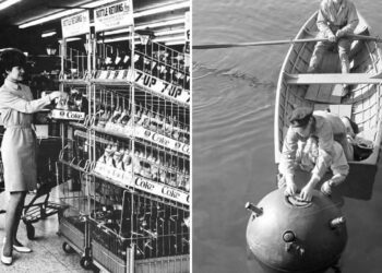 Old Photos That Capture Rare and Forgotten Moments in History