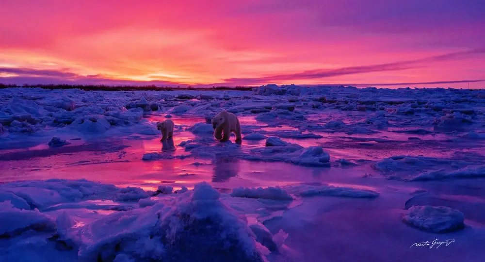 A Winter Solstice Trek by Martin Gregus