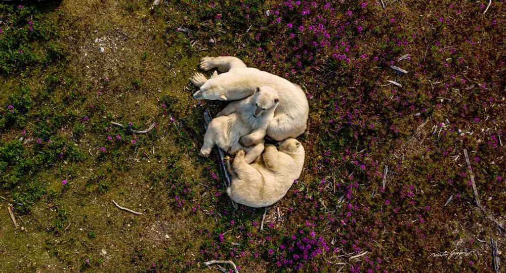 A Golden Hour Family Portrait by Martin Gregus