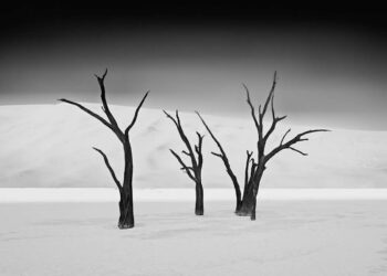 Refocus Black and White Landscape Photography Winners