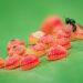 30 Mind-Blowing Winning Photos from the Royal Entomological Society’s Insect Competition 47 Entomological Society Competition Winners