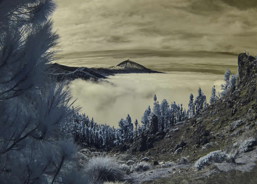 Infrared Dreamscape by Matteo Redaelli, Italy - Sony World Photography Awards 2026 Open Competition Winners