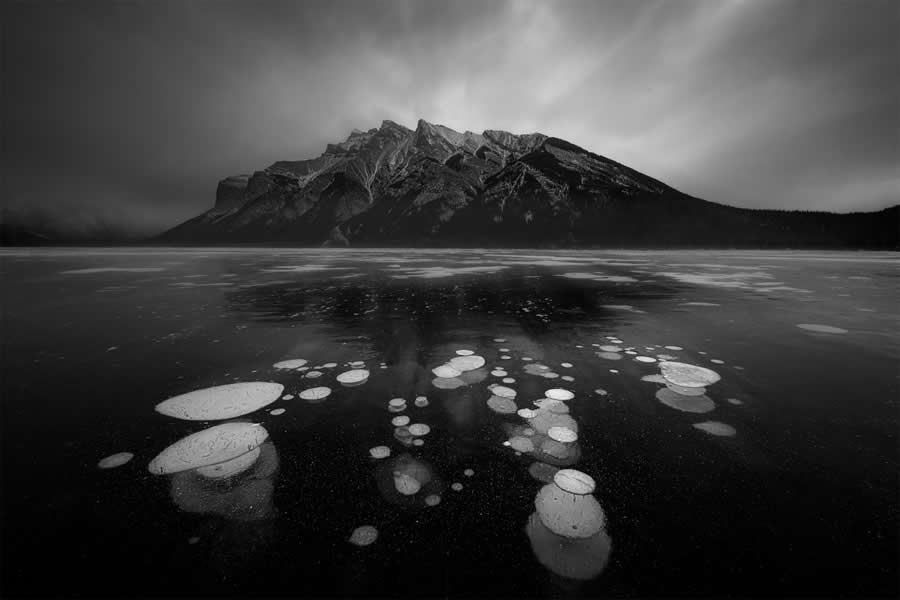 Whispers Beneath the Ice by Cong Lin, Canada - Sony World Photography Awards 2026 Open Competition Winners
