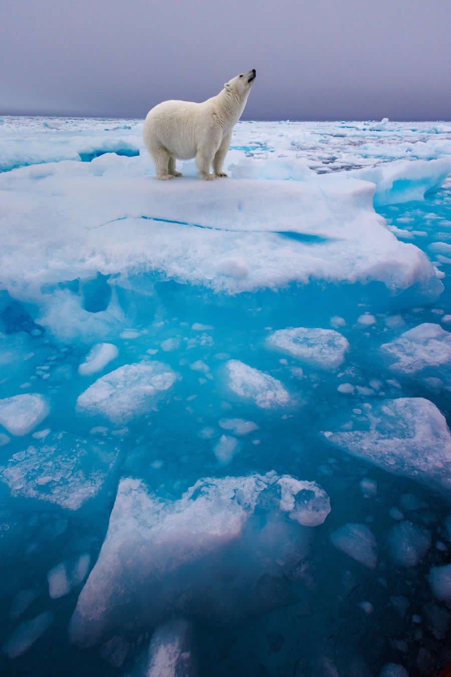 At the Edge by Wouter van Hofwegen, Netherlands - Sony World Photography Awards 2026 Open Competition Winners