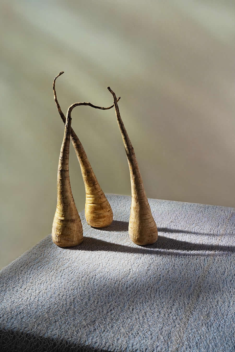 Proud Parsnips by Olivier Koestel, France - Sony World Photography Awards 2026 Open Competition Winners