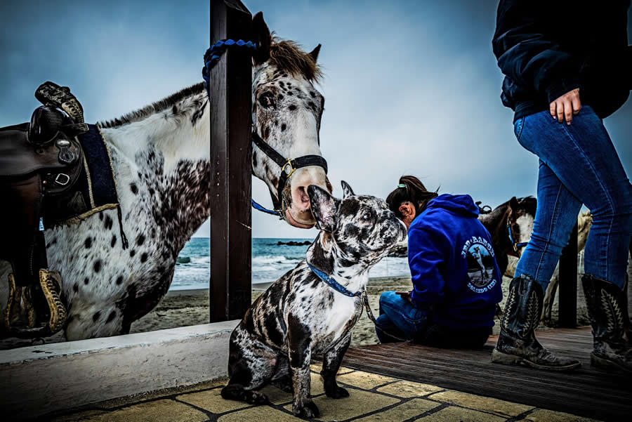 Untitled by Paolo Dellepiane, Italy - Sony World Photography Awards 2026 Open Competition Winners