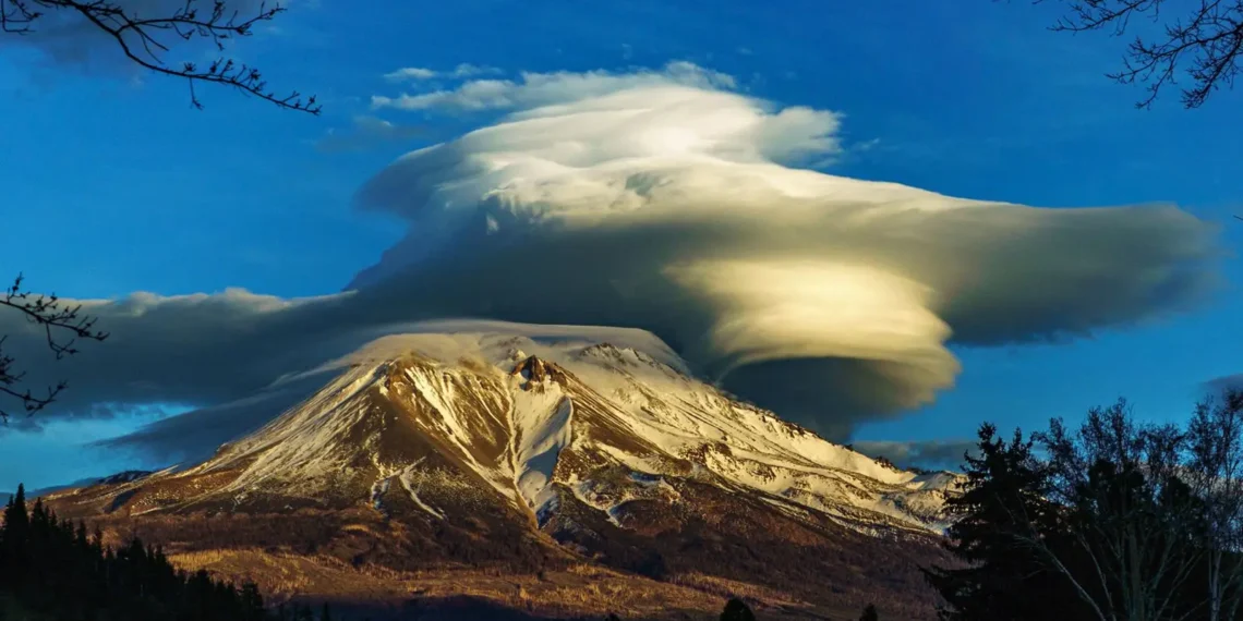 From West Virginia to Namibia: Meet the American Winners of the 2026 Sony World Photography Awards