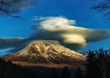 From West Virginia to Namibia: Meet the American Winners of the 2026 Sony World Photography Awards