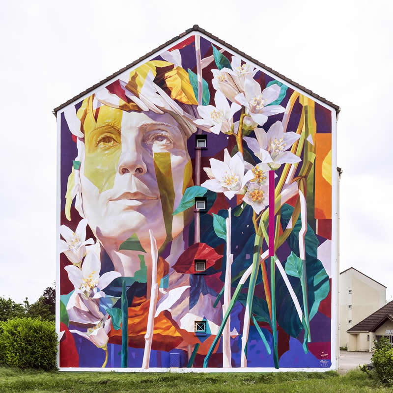 Street Art Murals by Arthur Maslard