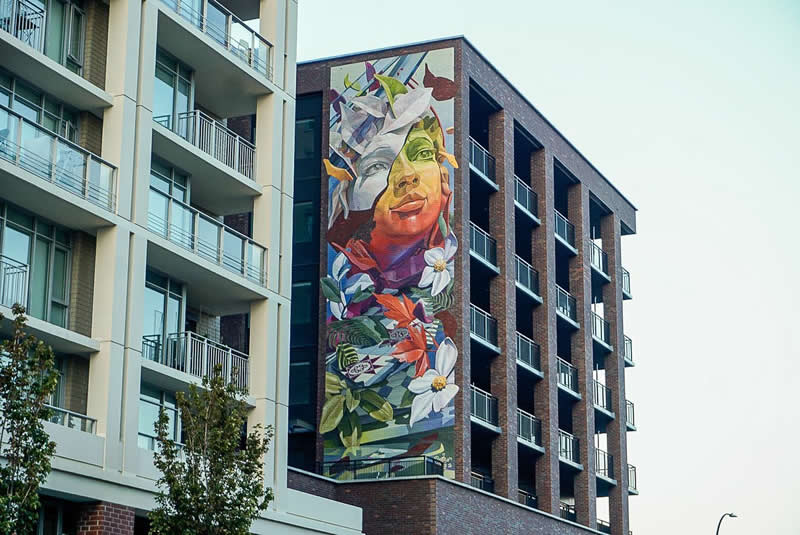 Street Art Murals by Arthur Maslard