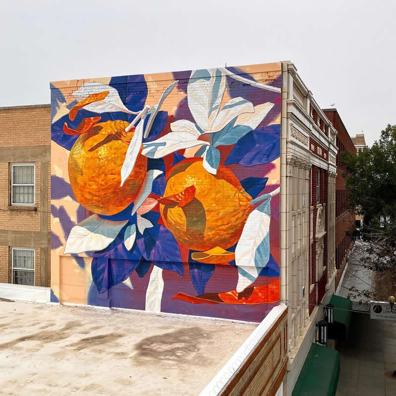 Street Art Murals by Arthur Maslard