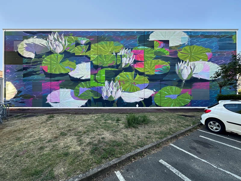 Street Art Murals by Arthur Maslard