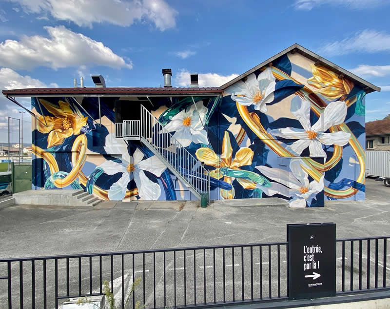 Street Art Murals by Arthur Maslard