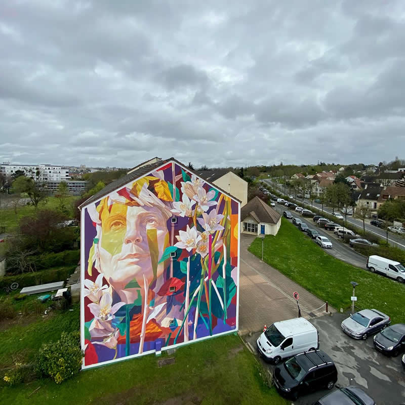 Street Art Murals by Arthur Maslard