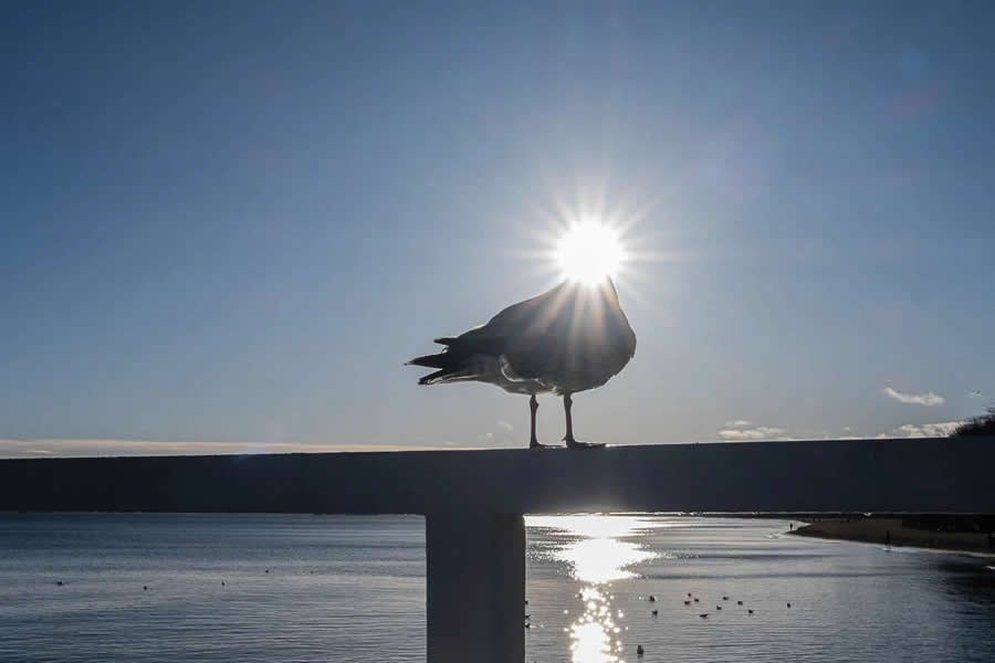 Unposed Candid Street Photography by Lukasz Korulczyk