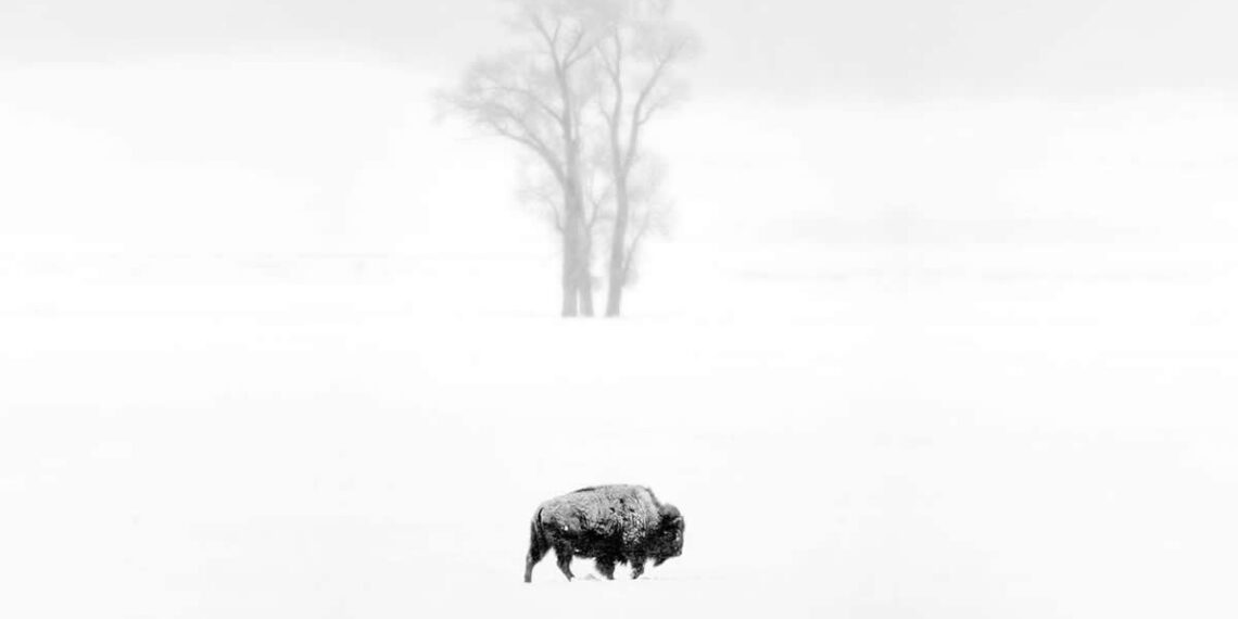 Inspiring Black and White Winning Photos from the Independent Photographer Awards 2026