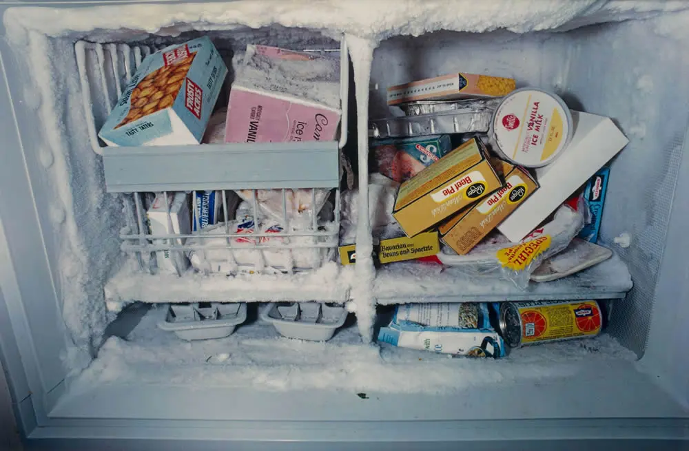 The Master of Color William Eggleston Last Dyes Exhibition New York