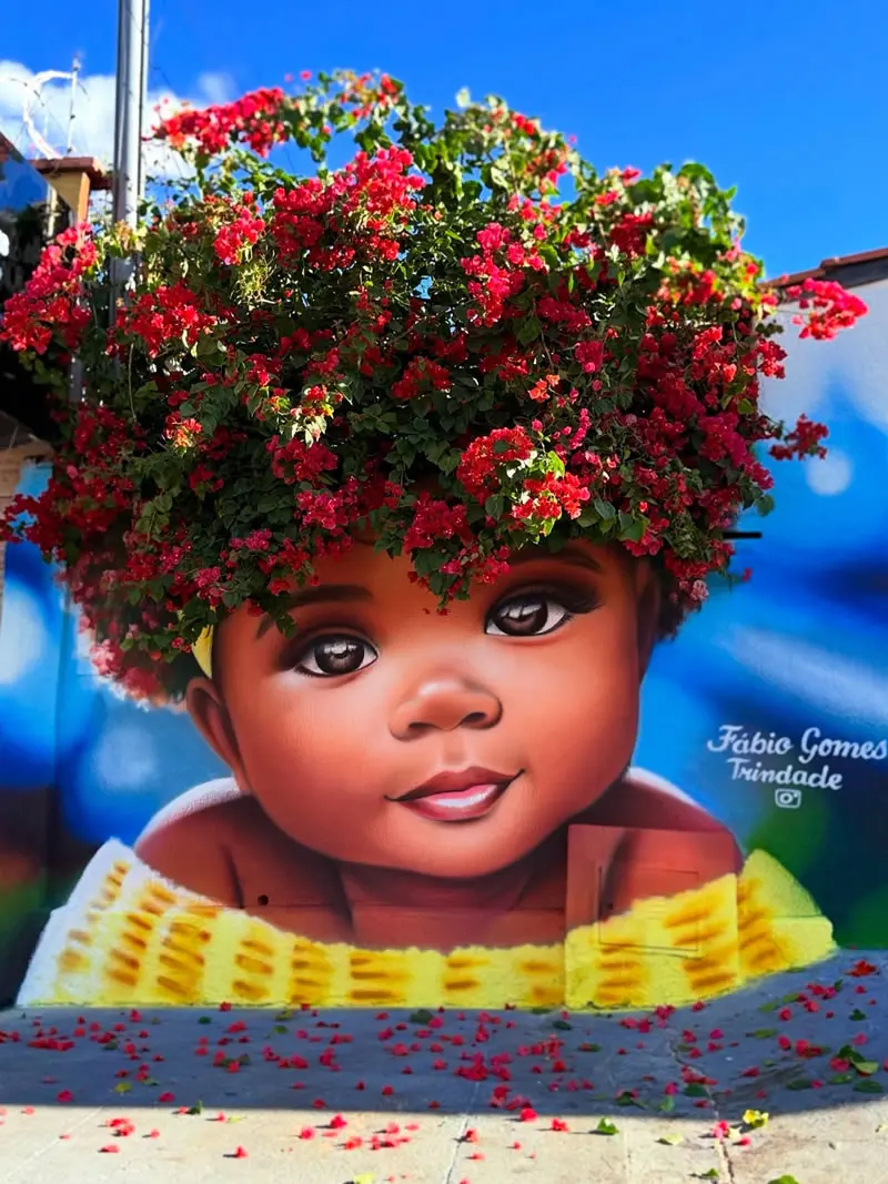Bougainvillea Crown Street Art Wall Murals by Fabio Gomes