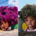 Fábio Gomes Is Redefining Street Art by Turning Trees Into Living Portraits