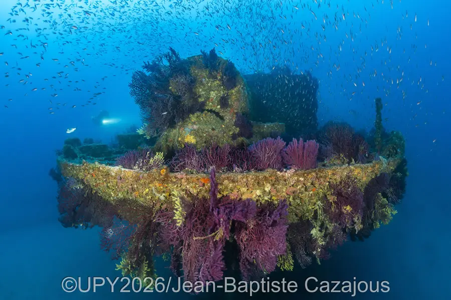 Wrecks - Runner Up: "Living wreck" by Jean-Baptiste Cazajous, France