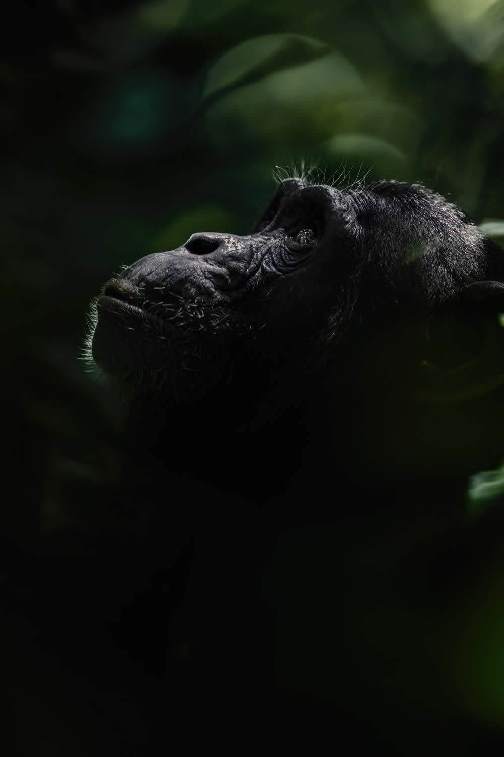 Spanish Wildlife Photographer Alexandra Surkova