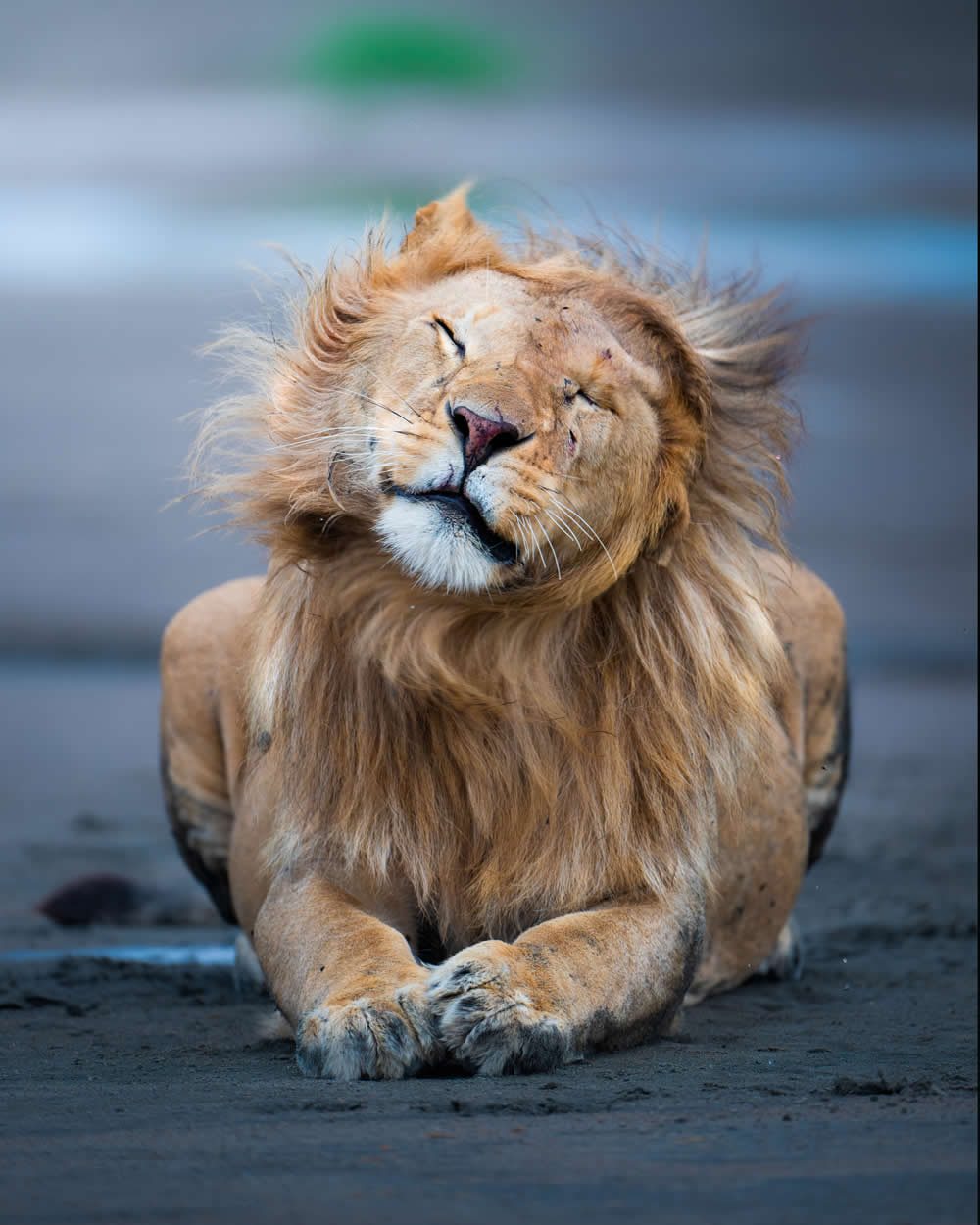 Spanish Wildlife Photographer Alexandra Surkova