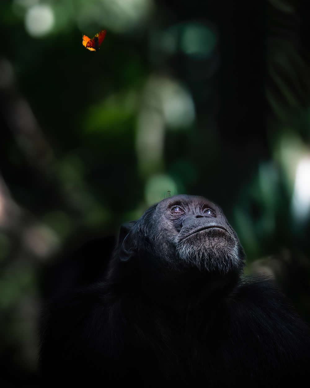 Spanish Wildlife Photographer Alexandra Surkova