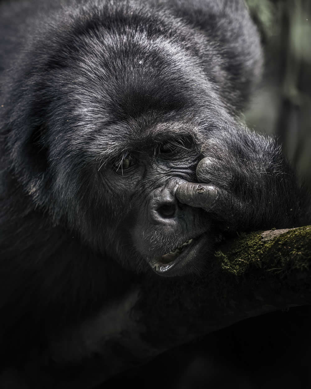 Spanish Wildlife Photographer Alexandra Surkova