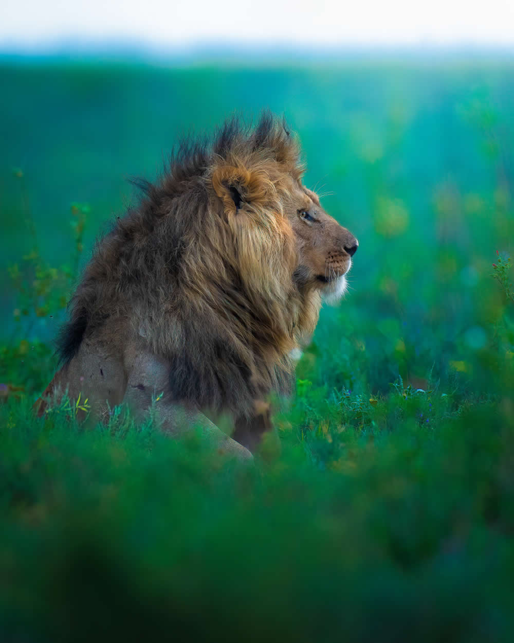 Spanish Wildlife Photographer Alexandra Surkova