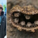 14 Year Old Indian photographer Rithved Girish Wins Close-up Photographer of the Year