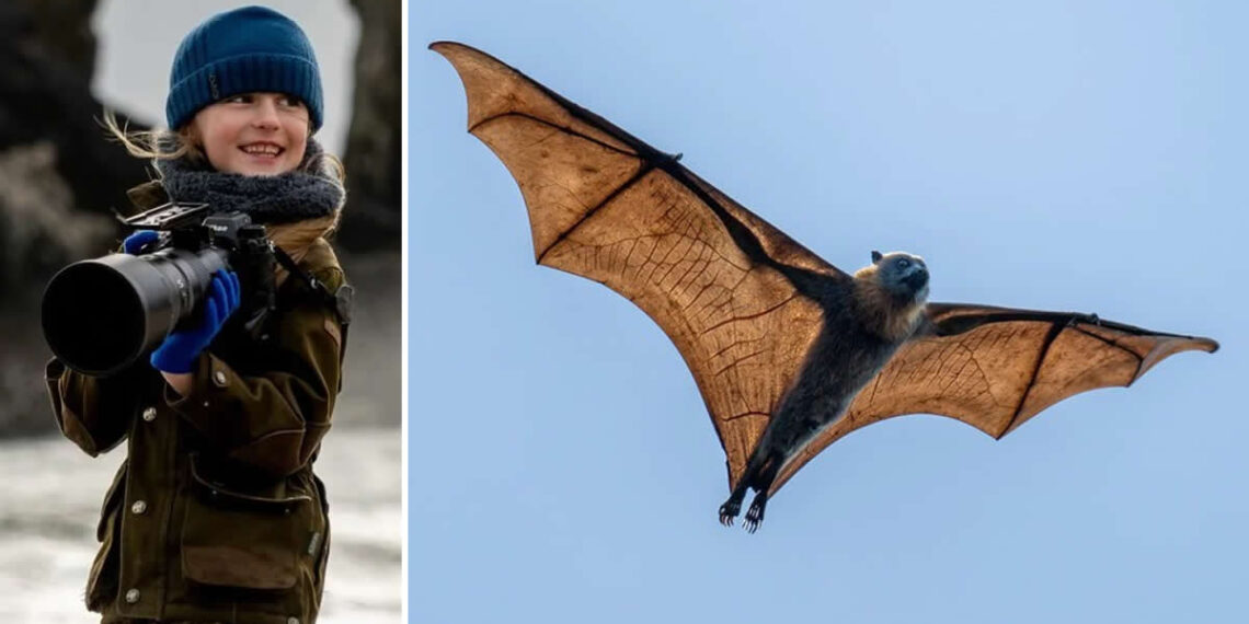 10-Year-Old UK Photographer Jamie Smart Wins Young Travel Photographer of the Year