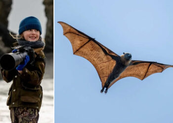 10-Year-Old UK Photographer Jamie Smart Wins Young Travel Photographer of the Year