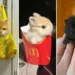 Three cute kittens: one in a bag, one in a fries box, one tiny black kitten held in hand