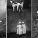 Vintage black-and-white surreal photos of people with animals and objects