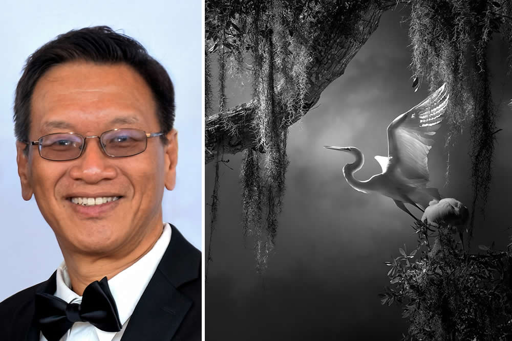 The Call of the Wild: 10 American Wildlife Photographers Redefining Nature Photography in 2026 14 Fenqiang Liu fine-art black and white bird photography of a great egret in Florida, WNPA 2026 Gold Medalist Birds category.