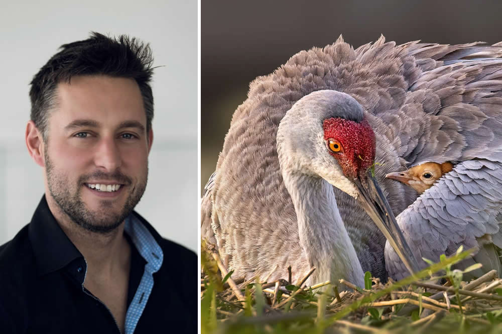 The Call of the Wild: 10 American Wildlife Photographers Redefining Nature Photography in 2026 16 Robert Gloeckner urban wildlife photography featuring a polar bear and human waste in Churchill Manitoba, 2026 Gold Winner.