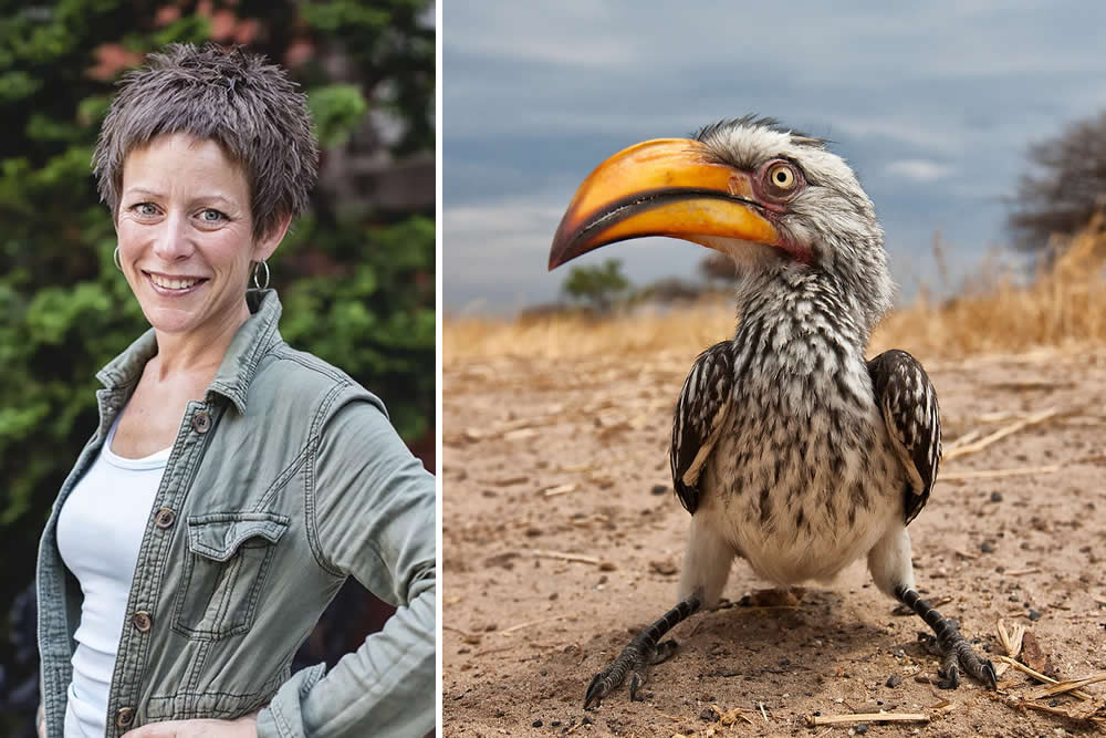 The Call of the Wild: 10 American Wildlife Photographers Redefining Nature Photography in 2026 17 Karine Aigner ethical wildlife photography capturing intimate insect behavior and conservation stories, 2026 National Geographic contributor.