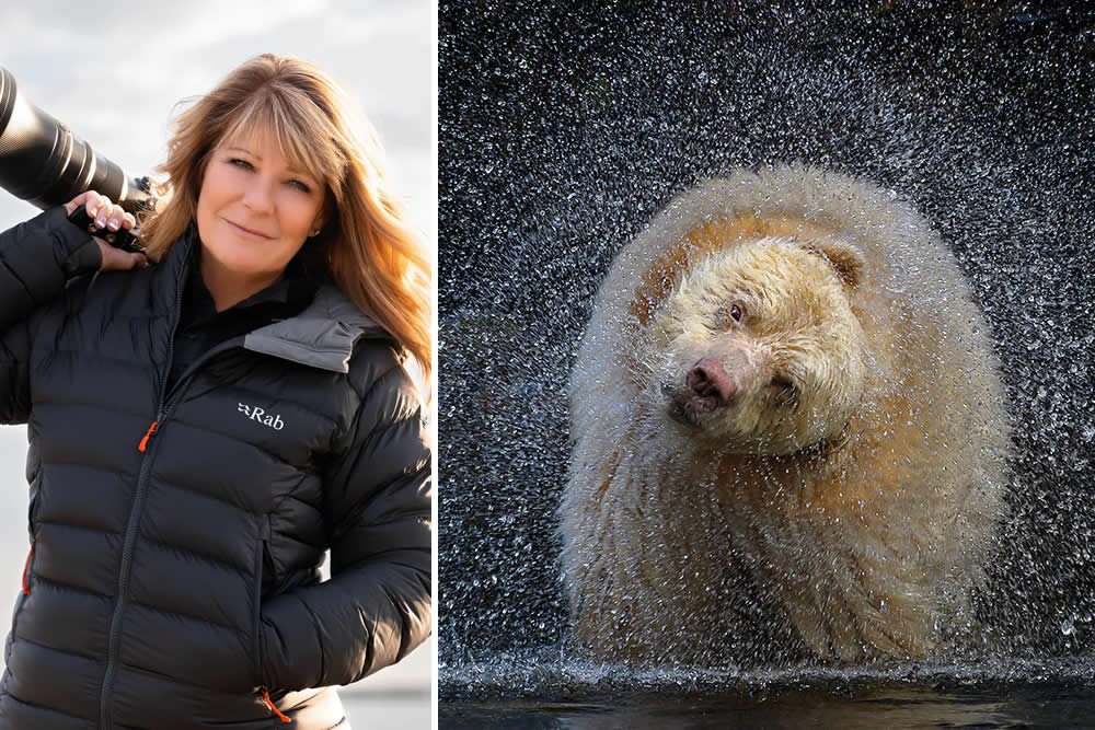 The Call of the Wild: 10 American Wildlife Photographers Redefining Nature Photography in 2026 20 Michelle Valberg Nikon Ambassador wildlife portrait of a spirit bear, NANPA 2026 Best in Show winner nature photography.