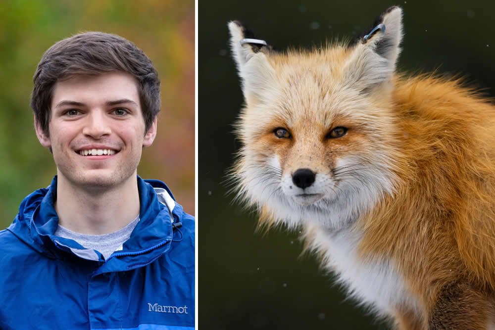 The Call of the Wild: 10 American Wildlife Photographers Redefining Nature Photography in 2026 21 Evan Watts dynamic wildlife photography and cinematography in Yellowstone National Park, 2026 American nature influencer.