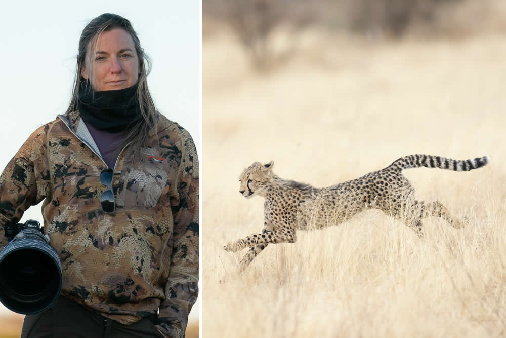 The Call of the Wild: 10 American Wildlife Photographers Redefining Nature Photography in 2026 22 Melissa Groo ethical wildlife photography of a Great Blue Heron, featuring authoritative conservation storytelling and 2026 NANPA keynote leadership.