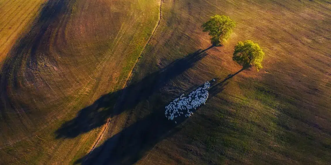 Landscapes Analyzed for Modern Photographers