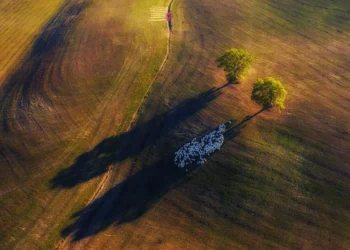 Landscapes Analyzed for Modern Photographers