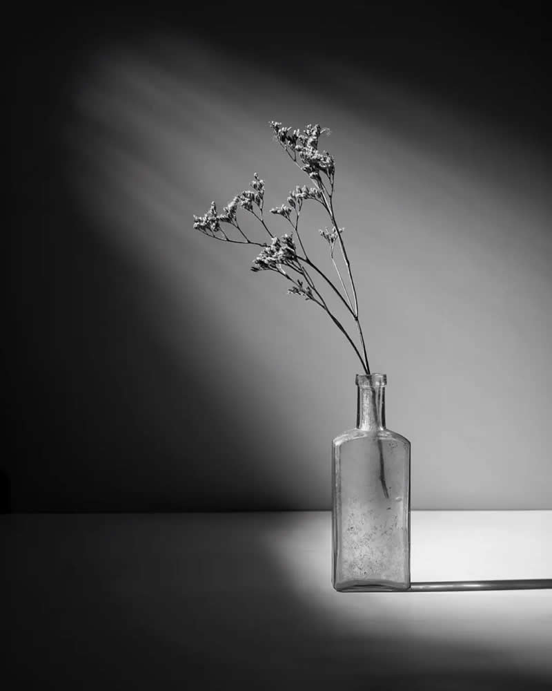 Timeless and Emotional: 30 Black and White Photos That Touch the Soul 42 Black and white minimalist still life of delicate dried flowers placed in a clear glass bottle on a table, illuminated by soft directional light that casts gentle shadows against a dark background.