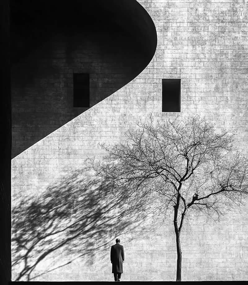 Timeless and Emotional: 30 Black and White Photos That Touch the Soul 48 Black and white minimalist photo of a lone person standing near a bare tree against a large textured wall, with dramatic architectural curves and long tree shadows creating a striking geometric composition.