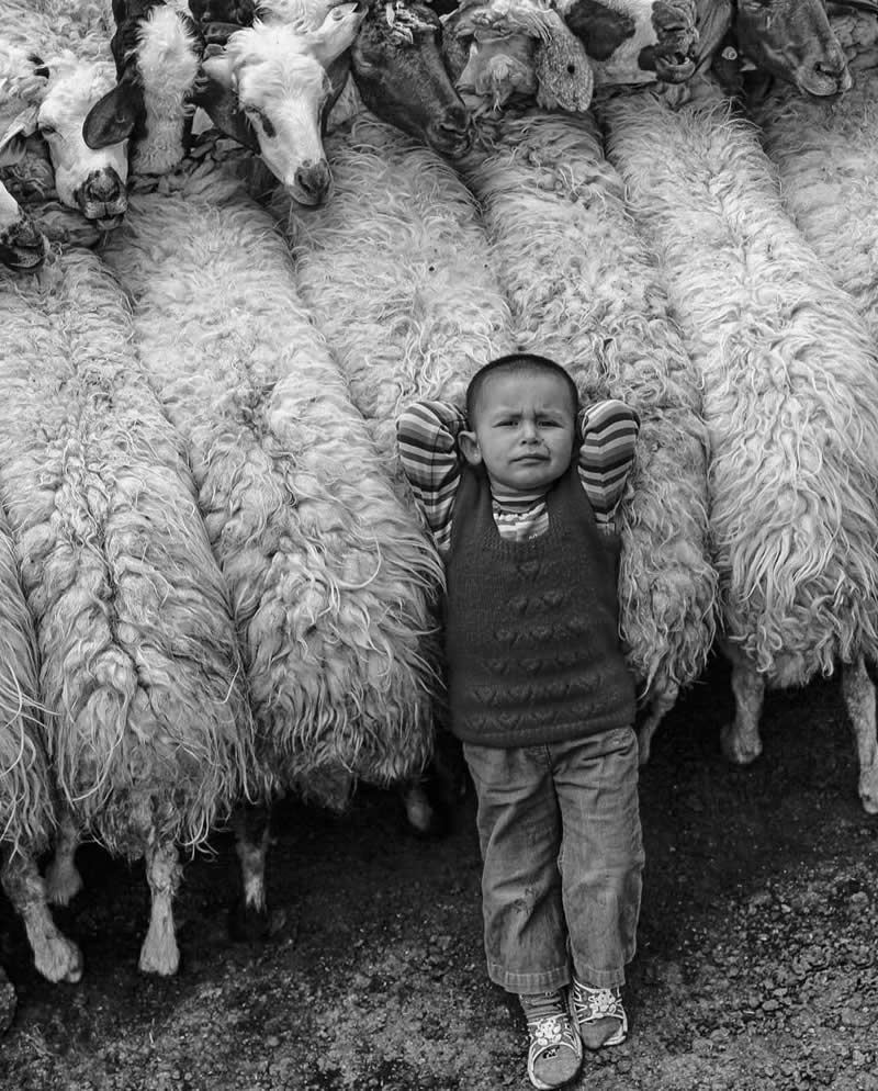 Timeless and Emotional: 30 Black and White Photos That Touch the Soul 57 Black and white photo of a young child standing relaxed among a tightly packed flock of sheep, leaning back with hands behind the head while the sheep surround him in a textured pattern of wool.