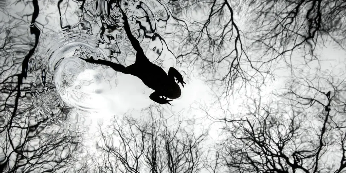 2026 British Wildlife Photography Awards: A Stunning Toad Portrait Takes Top Prize