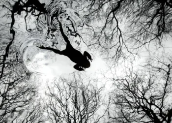 2026 British Wildlife Photography Awards: A Stunning Toad Portrait Takes Top Prize